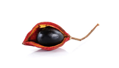 chestnuts isolate on white background.