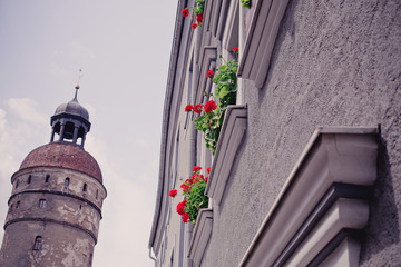 Street View in Görlitz with old building and flowers