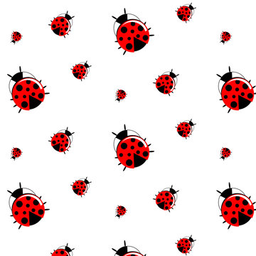 Ladybug Pattern