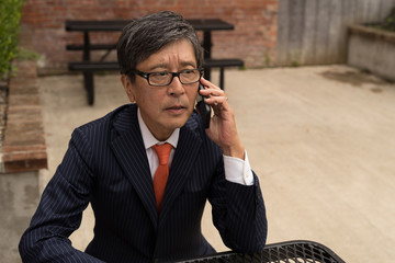 Asian businessman talking on a cell phone
