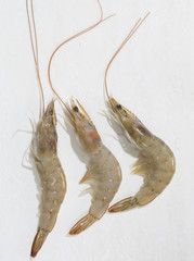 Raw shrimp on white table, top view.
