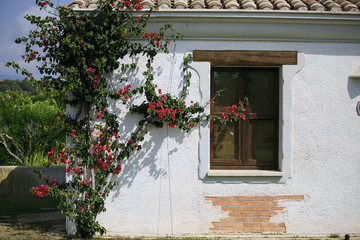 Fototapeta na wymiar Old wooden window and door