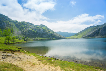 Naklejka na ściany i meble Beautiful nature of Spain: Covadonga mountain lakes in summer sunny day with blue sky and clouds
