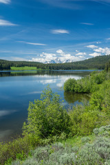 Fototapeta premium Oxbow Bend im Grand Teton National Park, Wyoming