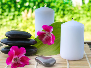 Obraz na płótnie Canvas Candles, flowers, stones on a background of greenery for spa massage relaxation