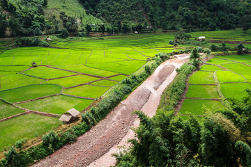 Fototapeta na wymiar Green Terraces rice field, a beautiful natural beauty on mountain in Nan,Khun Nan Rice Terraces, Boklua Nan Province, Thailand