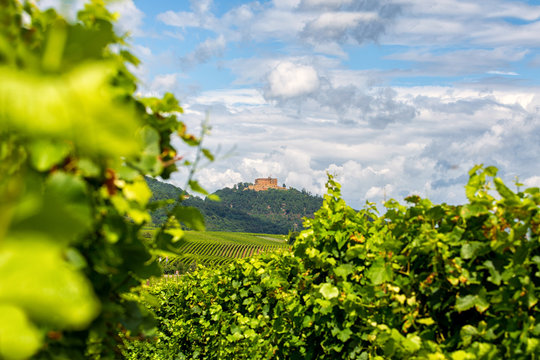 Hambacher Schloss