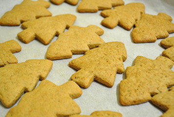 Top view of a baking sheet with Christmas tree cookies on a baking paper with cookie cutters
