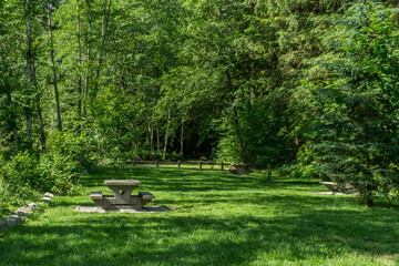 Picnic area in park with table and field