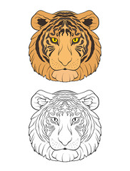 Set of colored and outline tiger.   Stock line vector illustration. 