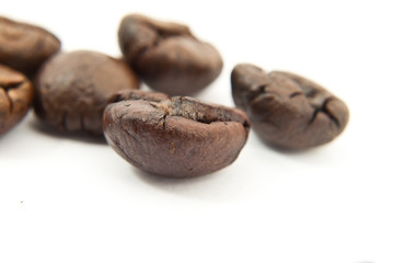 Coffee Bean isolated.