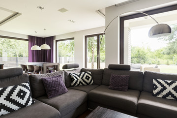 Living room with grey couch