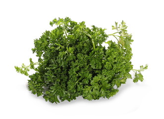 Parsley isolated on white background