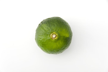 シークヮーサー