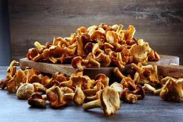 chanterelle mushrooms. Composition with wild mushrooms