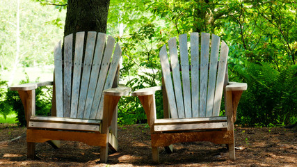 Wooden chairs in a forest