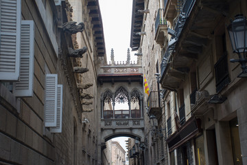in the gothic quarter of barcelona