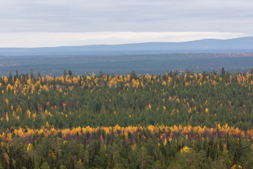 Autumn landscape in Lapland, Finland, view from mountain