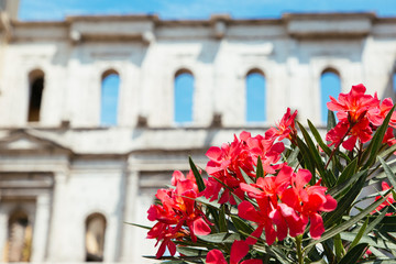 Flowers with ancient architecture