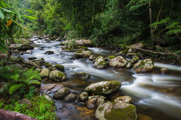 Streams flow in natural rainforest in Laos.