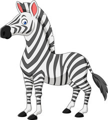 Plakat Cartoon zebra isolated on white background