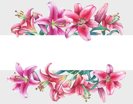 Banner with a pink lilies, isolated on gray background. Watercolor hand drawn painting illustration