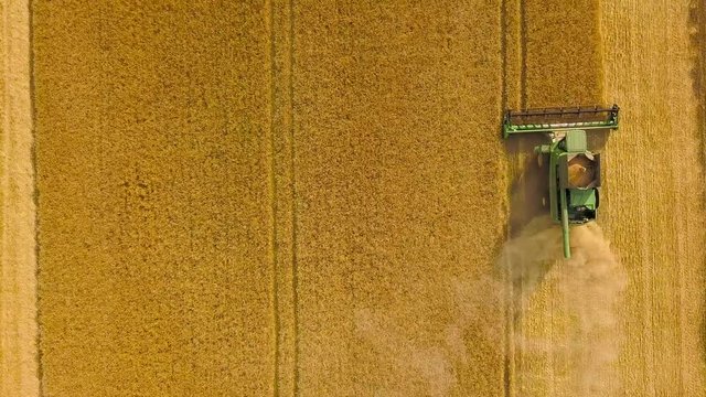 Top view combine harvester gathers the wheat at sunset. Harvesting grain field, crop season