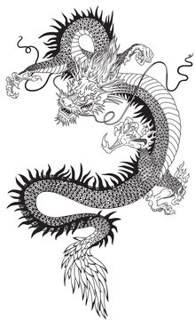 Vector illustration of a chinese dragon. Black and white tattoo illustration