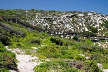 Fototapeta na wymiar View of beach from kangaroo island australia