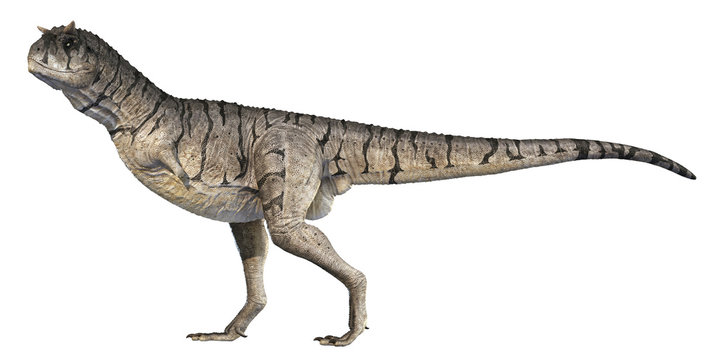 A 3D rendering of Carnotaurus sastrei standing tall, isolated on a white background.