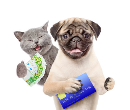 Happy Cat with euro and Funny puppy hold credit card. isolated on white background