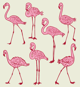 A flock of the pink cartoon flamingos