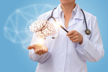 Medical worker shows the brain .