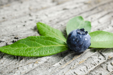 Fresh blueberry on leaf