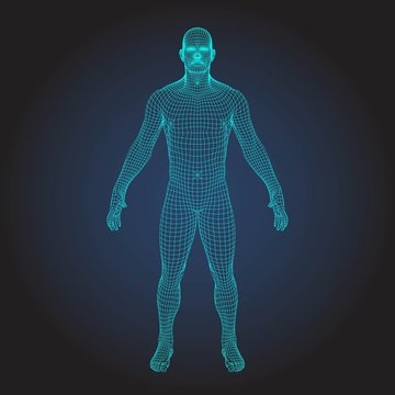 3D wireframe human body