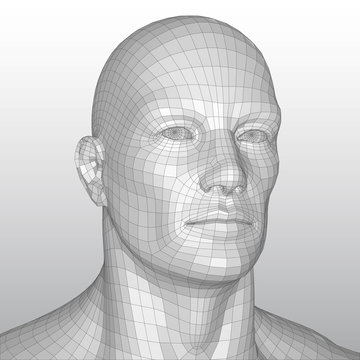 Vector wire frame polygonal human head