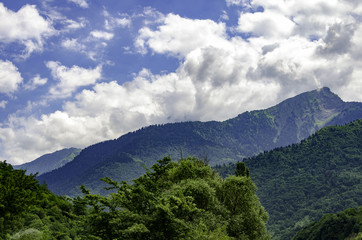 Fototapeta na wymiar Green montain valley in Caucasus in a cloudy weather