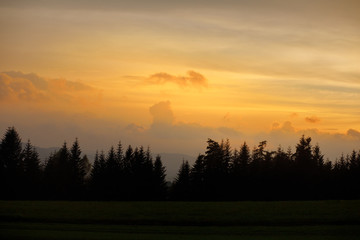Obraz premium Forest in mountains at sunset