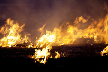 large fire, danger, burn rice farming, farming abuse.