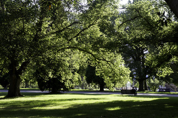 Sit back in the garden, sitting in a park.