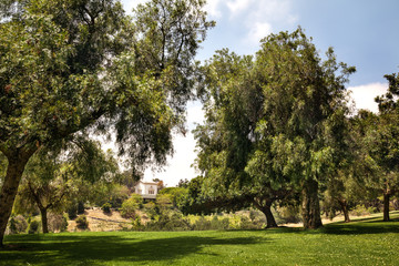 Fototapeta na wymiar Landscape with green trees at the park, California