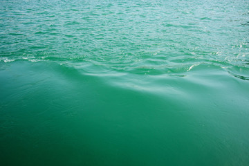 Green color water of Dubai Creek