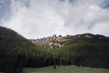 The mountains and forest