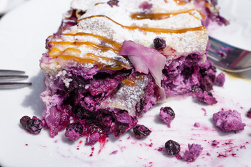 Blueberry pie strudel Close up shot on white plate
