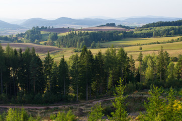 Hills and forest