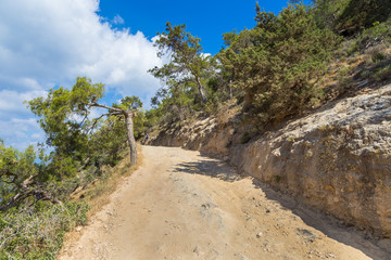 Fototapeta na wymiar Walking in the mountains along peninsula of Akamos, Cyprus