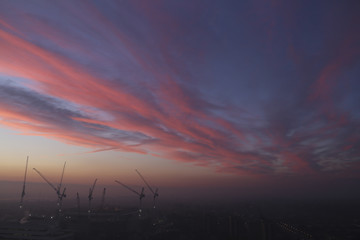Pink sunrise over cranes