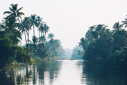 River and jungle with reflection of palm trees on the water. Kerala, India
