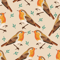 Bird  illustration robin with leaves floral background