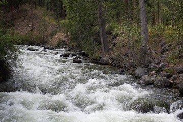 Western Montana summer outdoor landscape with river, mountains, big sky